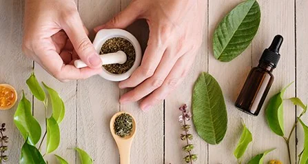 Hands grinding herbs in a mortar beside fresh leaves